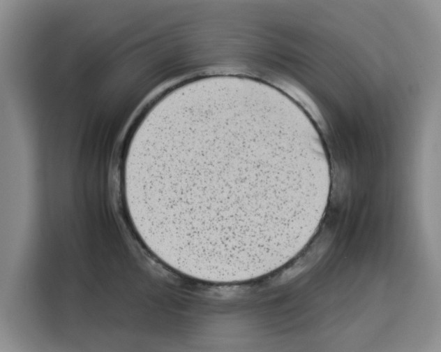 X0000113261000200910221035