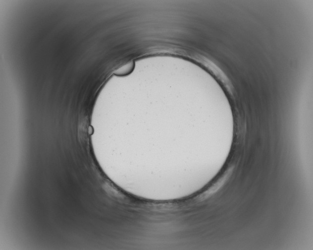 X0000113261001200910221035