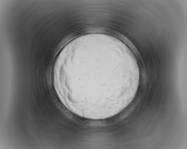 X0000113261002200910221035