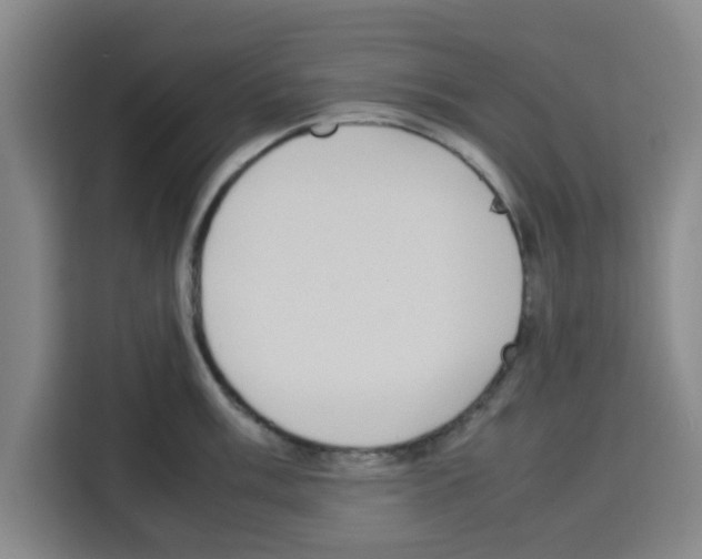 X0000113261003200910221035