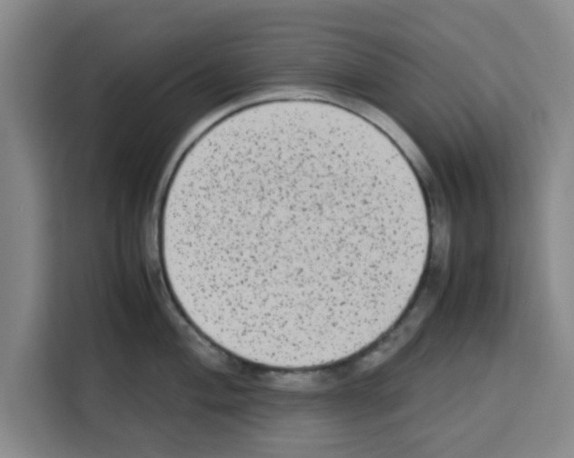 X0000113261004200910221035