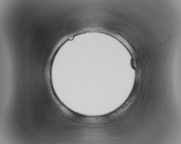 X0000113261005200910221035