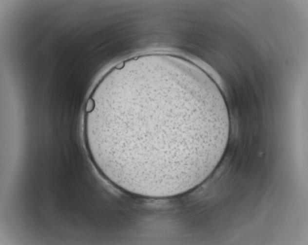 X0000113261006200910221035