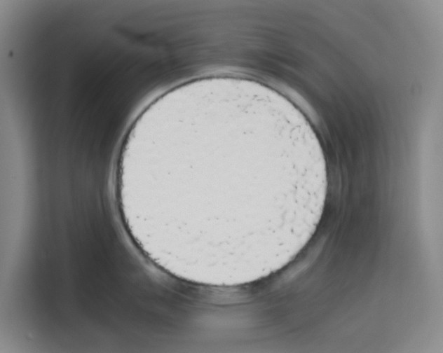 X0000113261007200910221035