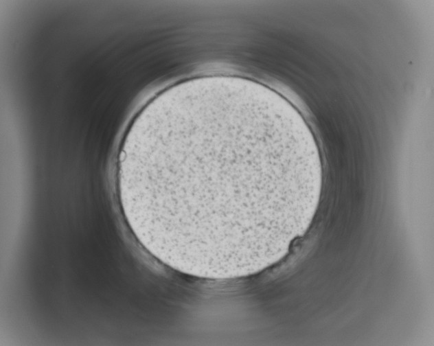 X0000113261008200910221035