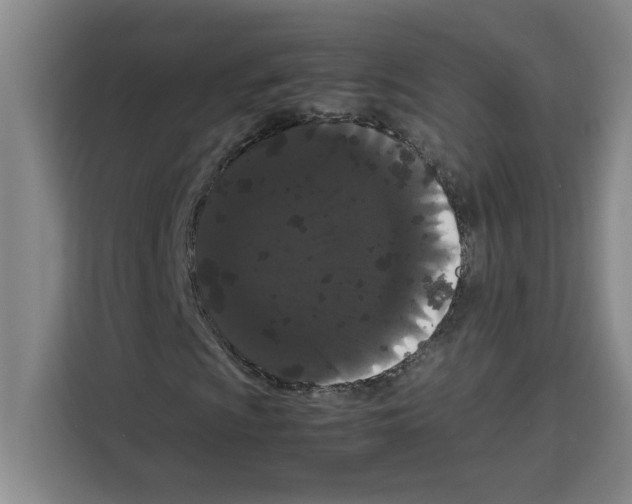 X0000113261009200910221035