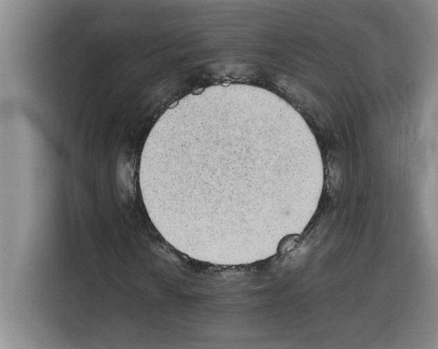 X0000113261010200910221035