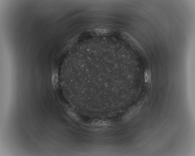 X0000113261011200910221035