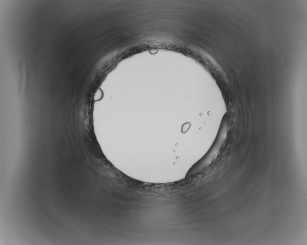 X0000113261016200910221035