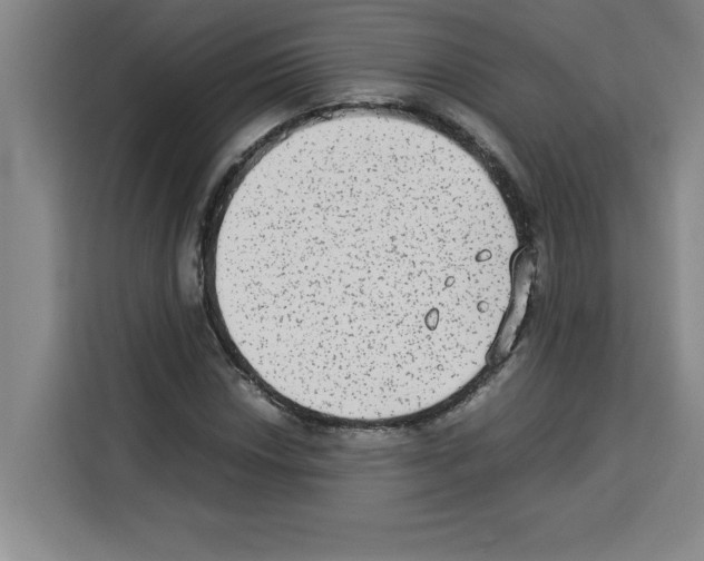 X0000113261018200910221035