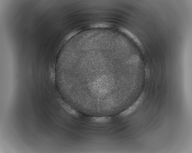 X0000113261025200910221035