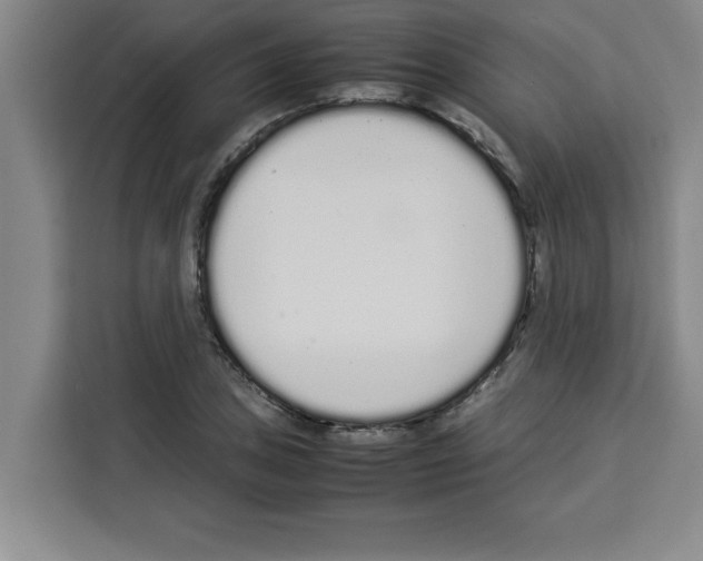 X0000113261027200910221035