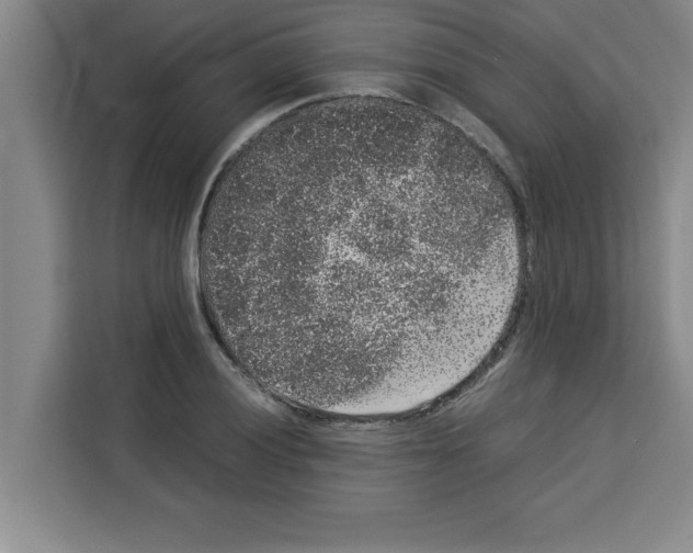 X0000113261028200910221035