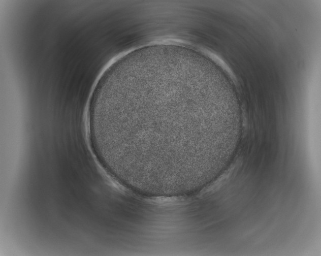 X0000113261032200910221035