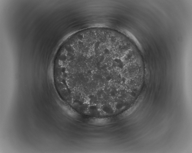 X0000113261035200910221035