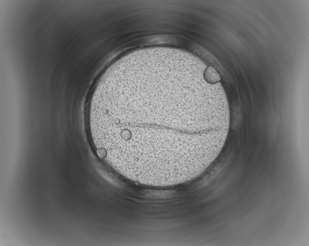 X0000113261039200910221035