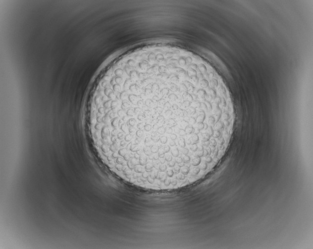 X0000113261044200910221035