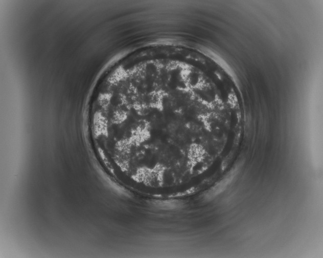 X0000113261045200910221035