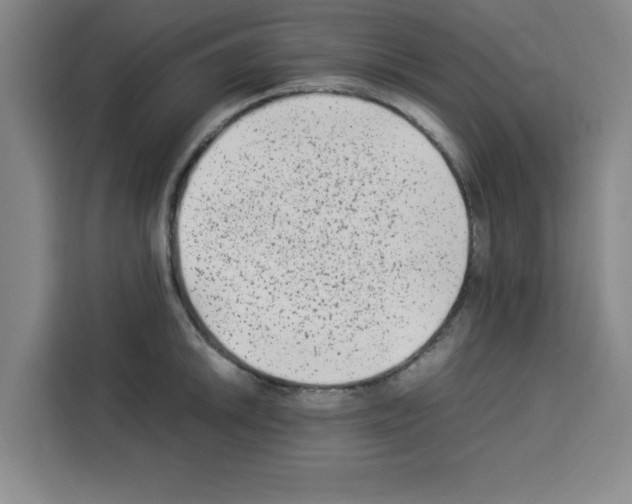 X0000113261046200910221035