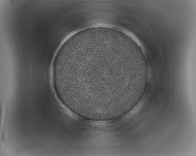 X0000113261048200910221035