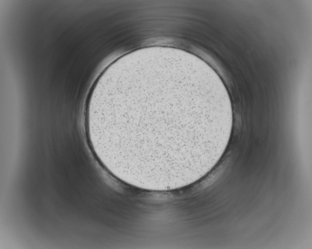 X0000113261050200910221035