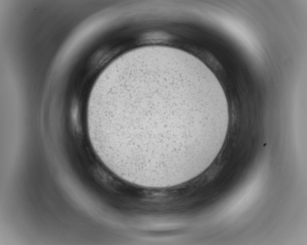 X0000113261054200910221035