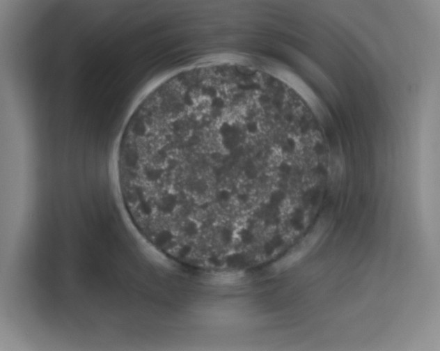 X0000113261055200910221035