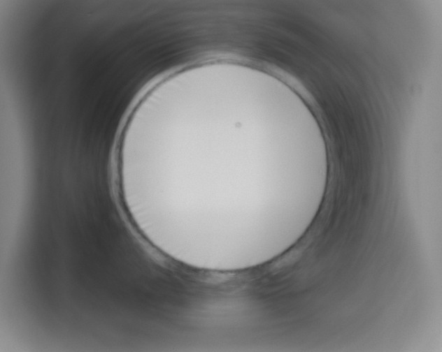 X0000113261056200910221035