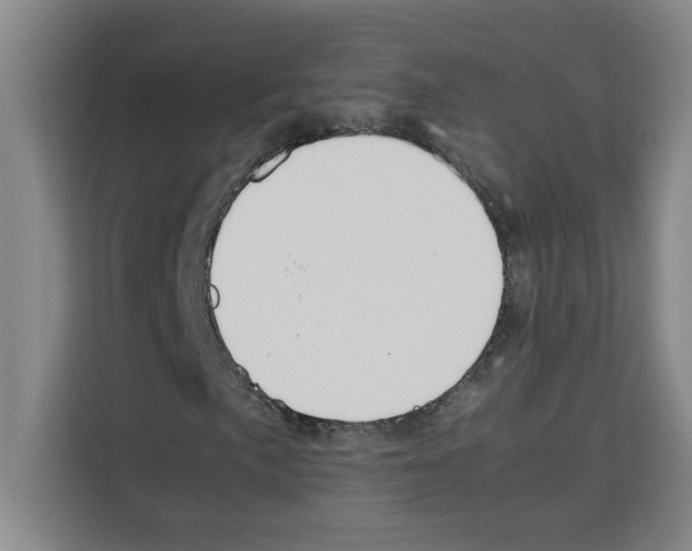 X0000113261057200910221035