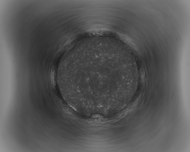 X0000113261060200910221035