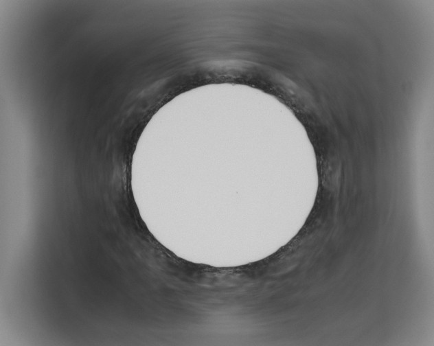 X0000113261061200910221034