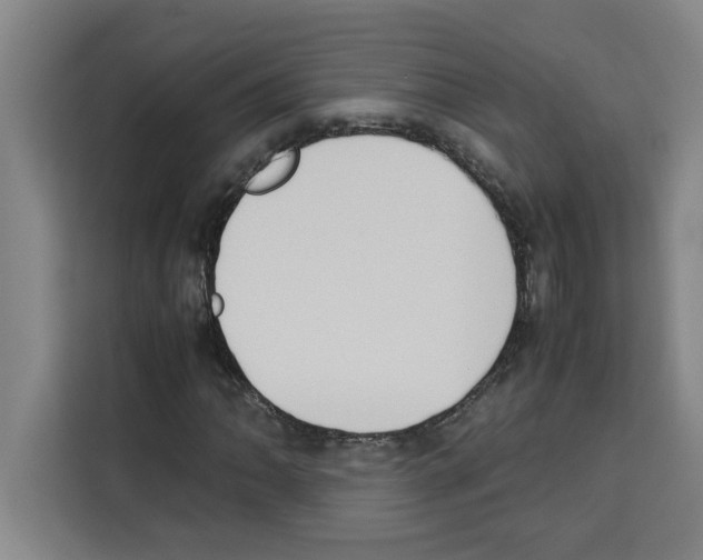 X0000113261062200910221034
