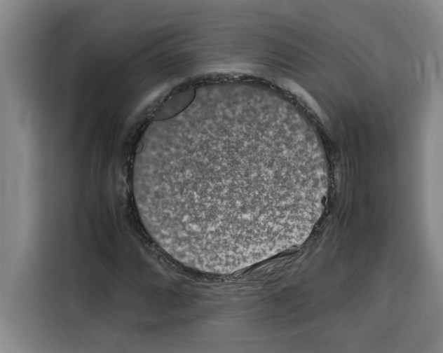 X0000113261064200910221034