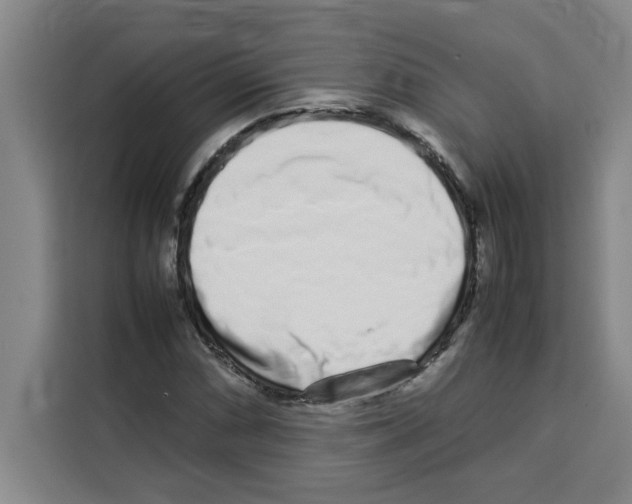 X0000113261066200910221034