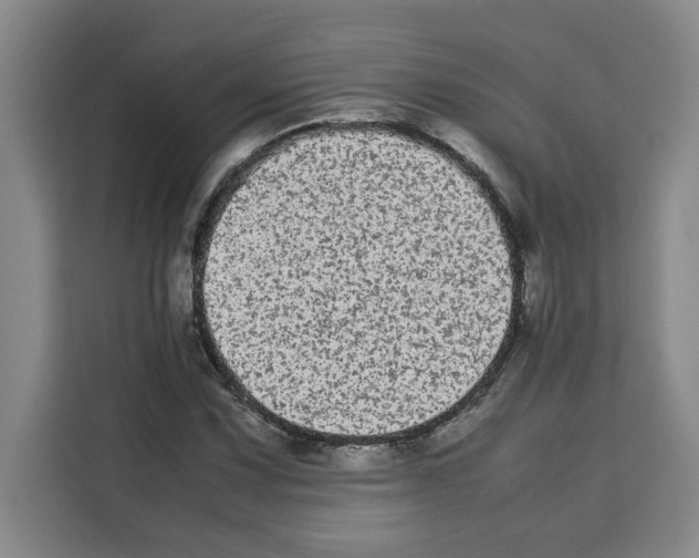 X0000113261067200910221034