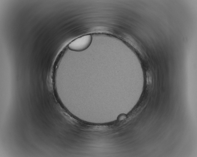 X0000113261068200910221034