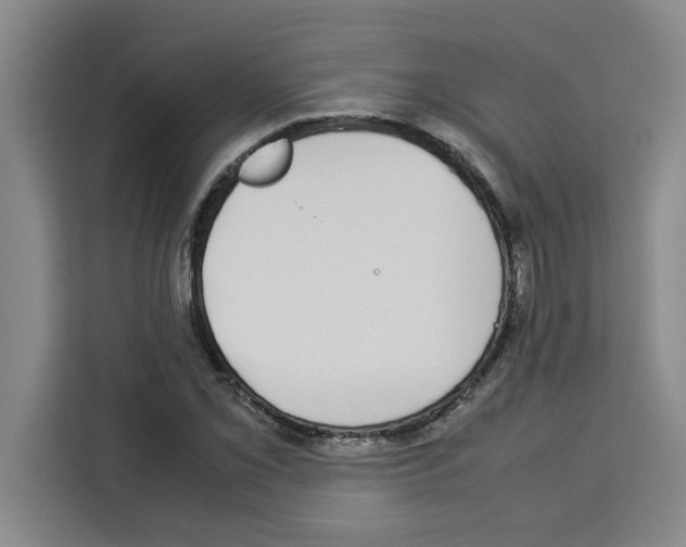 X0000113261069200910221034