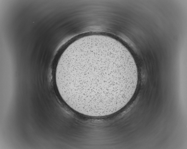 X0000113261070200910221034