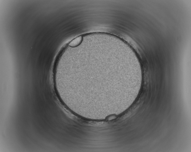 X0000113261072200910221034