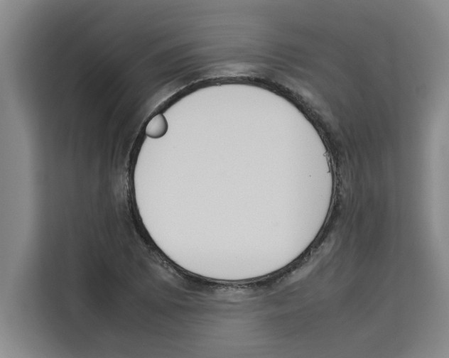 X0000113261073200910221034
