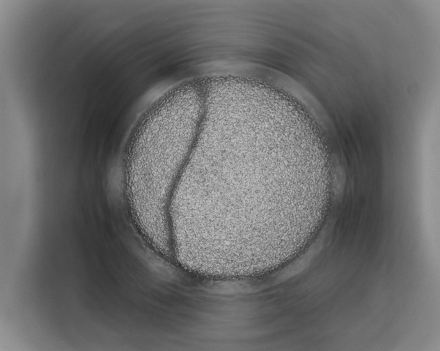 X0000113261074200910221034