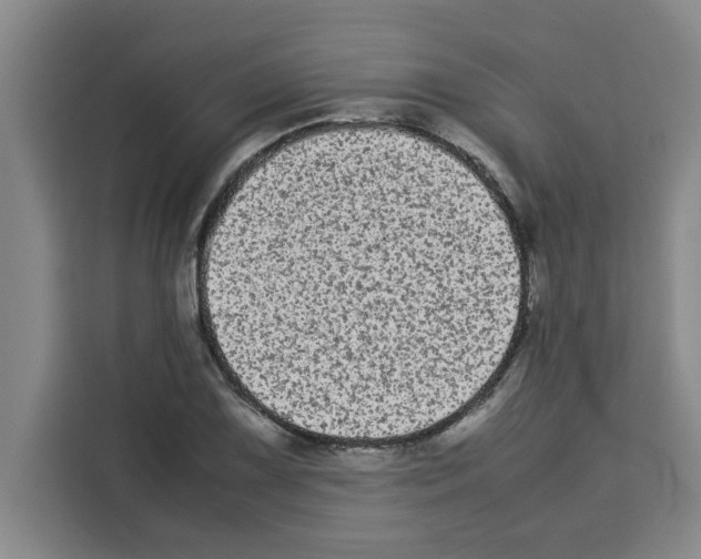 X0000113261075200910221034