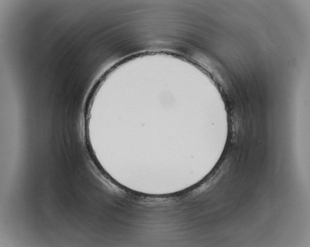 X0000113261076200910221034