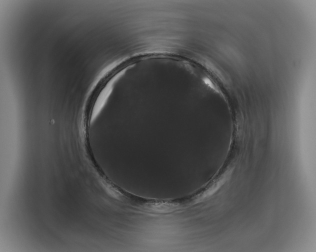 X0000113261077200910221034