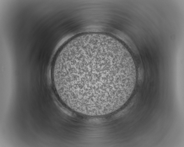 X0000113261078200910221034