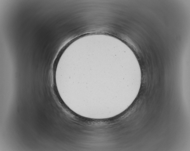 X0000113261079200910221034