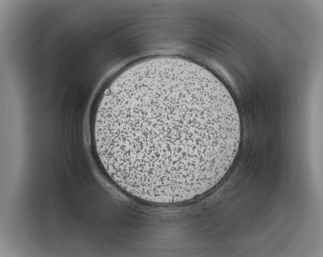 X0000113261080200910221034