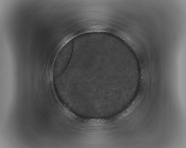 X0000113261081200910221034