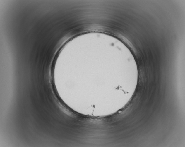 X0000113261082200910221034