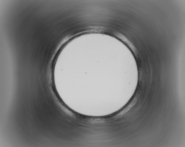 X0000113261083200910221034
